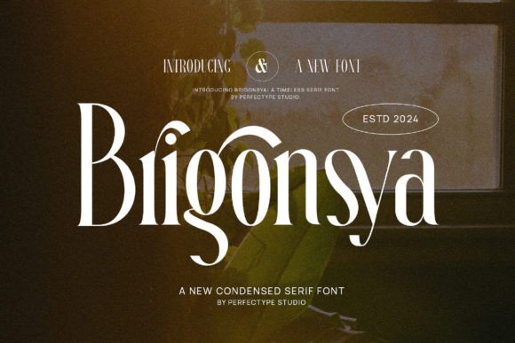 Brigonsya: The Serif Font That Gave My Small Brand a Polished New Voice