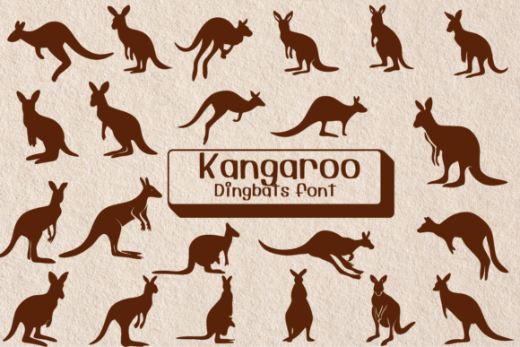 How Kangaroo Font Gave My Small Business a Brand Upgrade