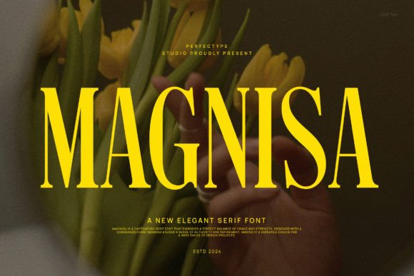 Magnisa: A Serif Font for Elegant Design